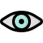 Vision